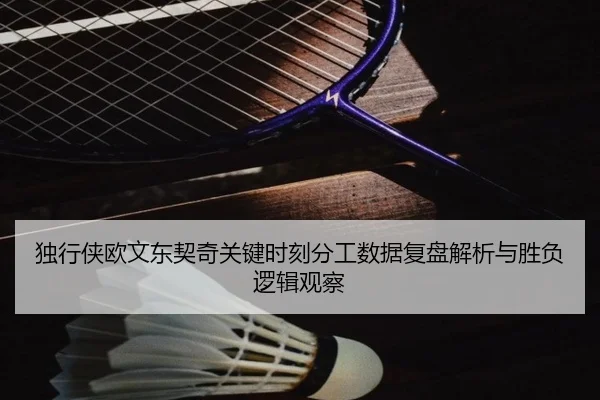 独行侠欧文东契奇关键时刻分工数据复盘解析与胜负逻辑观察