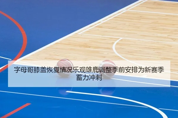 字母哥膝盖恢复情况乐观雄鹿调整季前安排为新赛季蓄力冲刺